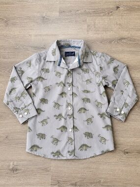 Test Of Time Boys 3T Dinosaur Button Up Shirt Gray Long Sleeve Collared Top